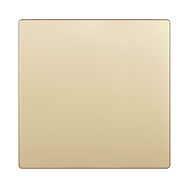 Enerlites Screwless Blank Two Gang Wall Plate Gold  