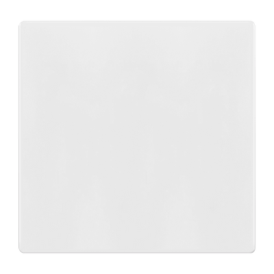 Enerlites Screwless Blank Two Gang Wall Plate White  